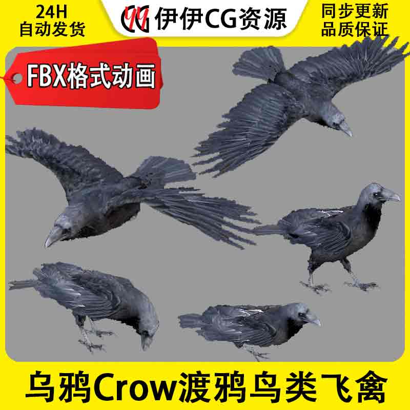 3DMax动物模型3D模型乌鸦Crow鸟类飞禽野生动物FBX动画文件乌鸦