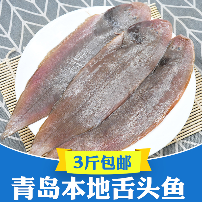 3-4两/条 青岛海鱼新鲜冷冻海鲜3斤野生舌头鱼踏板鱼带皮真龙利鱼