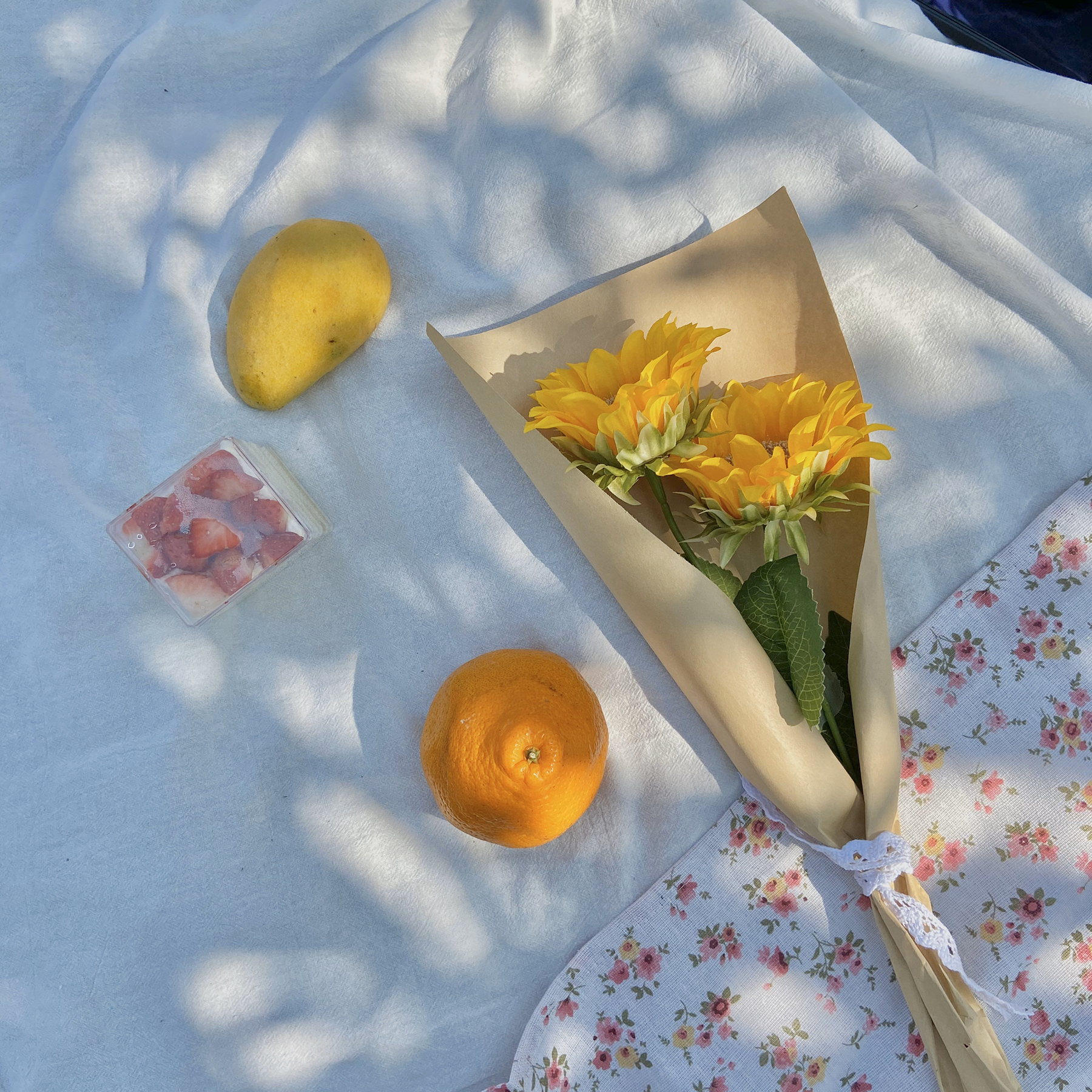 很上镜的太阳花向日葵仿真花野餐拍照道具装饰品旅游拍照花花
