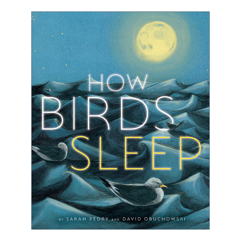 英文原版绘本 How Birds Sleep 鸟儿的睡姿 儿童精装自然科普绘本 动物故事图画书 David Obuchowski 英文版 进口英语原版书籍