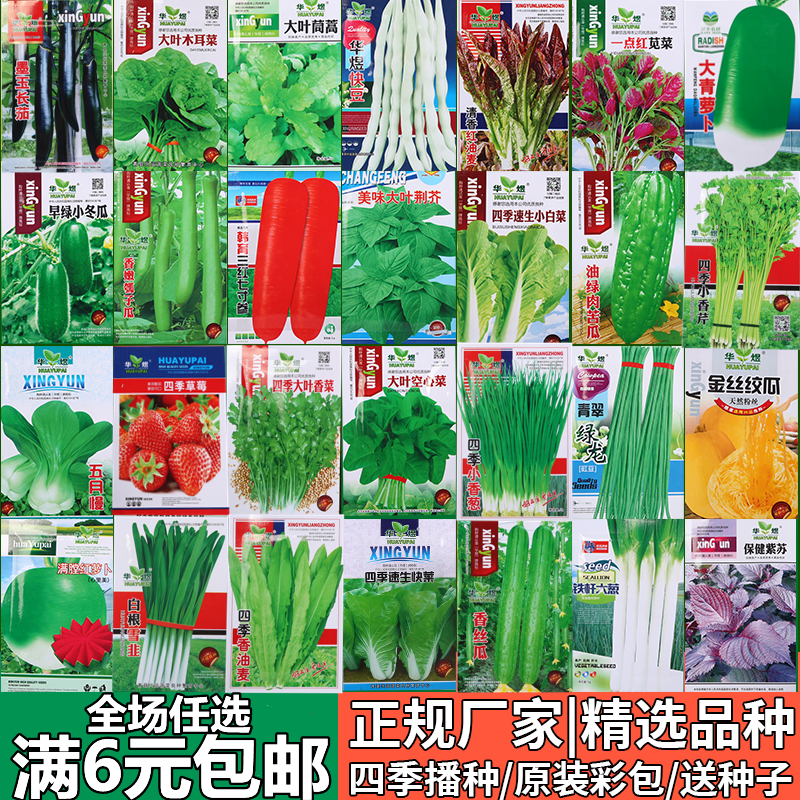 蔬菜图片菠菜