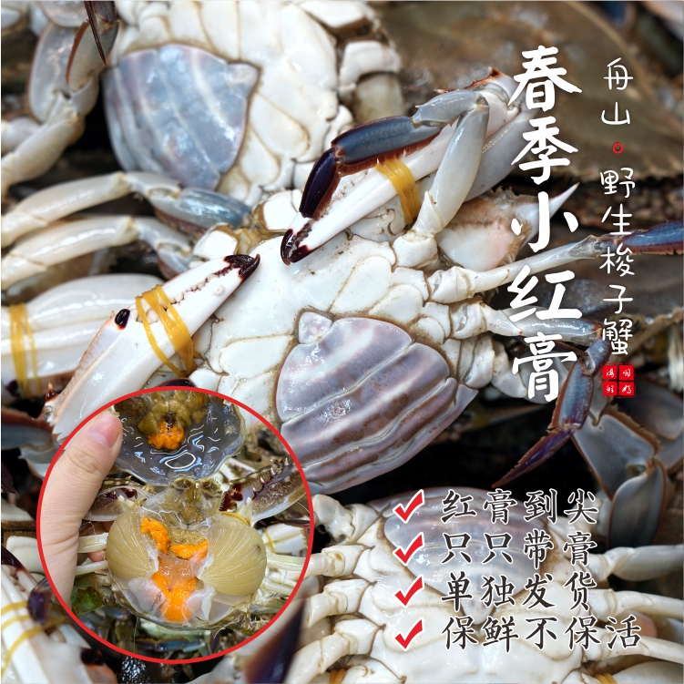 【闹妈】舟山液氮冻小红膏母蟹2-3两/只 可酱汁/红烧/清蒸 3只装