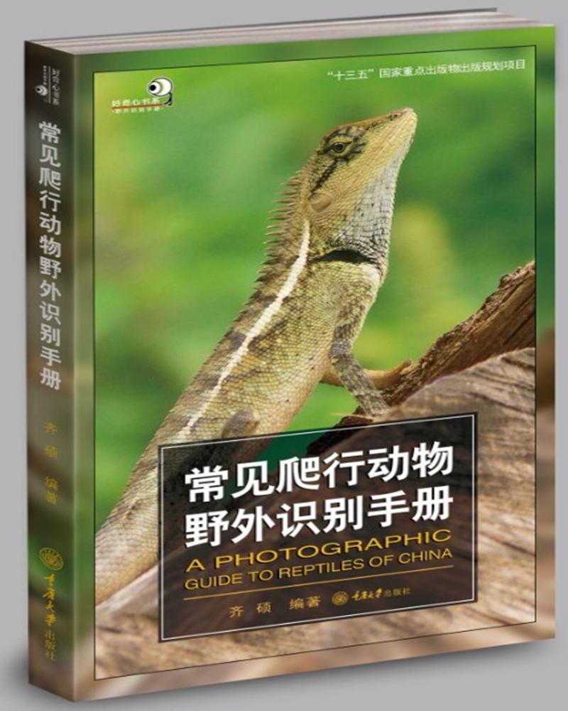 常见爬行动物野外识别手册 好奇心书系 野外识别手册齐硕著 爬行动物特征参考图 爬行动物的形态特征 爬行动物栖息环境和分布范围