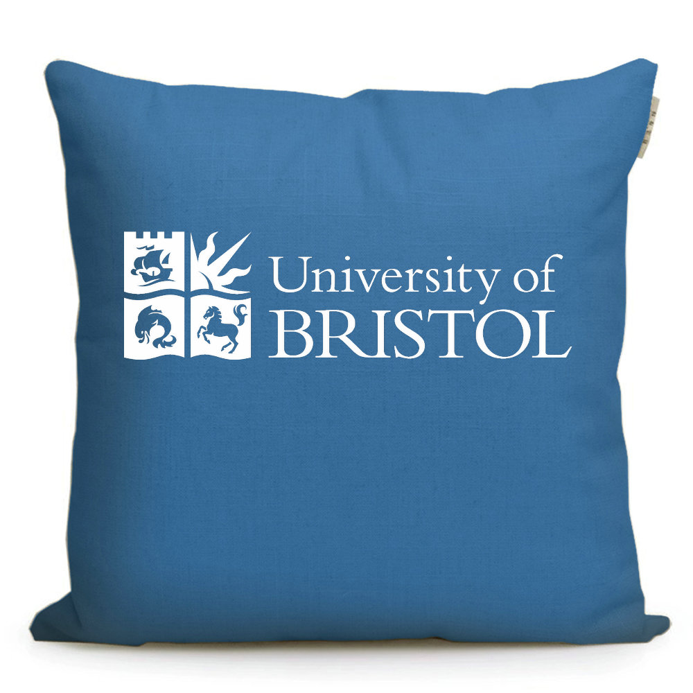 英国名校周边 布里斯托大学纪念品Bristol周边校徽礼品靠垫抱枕