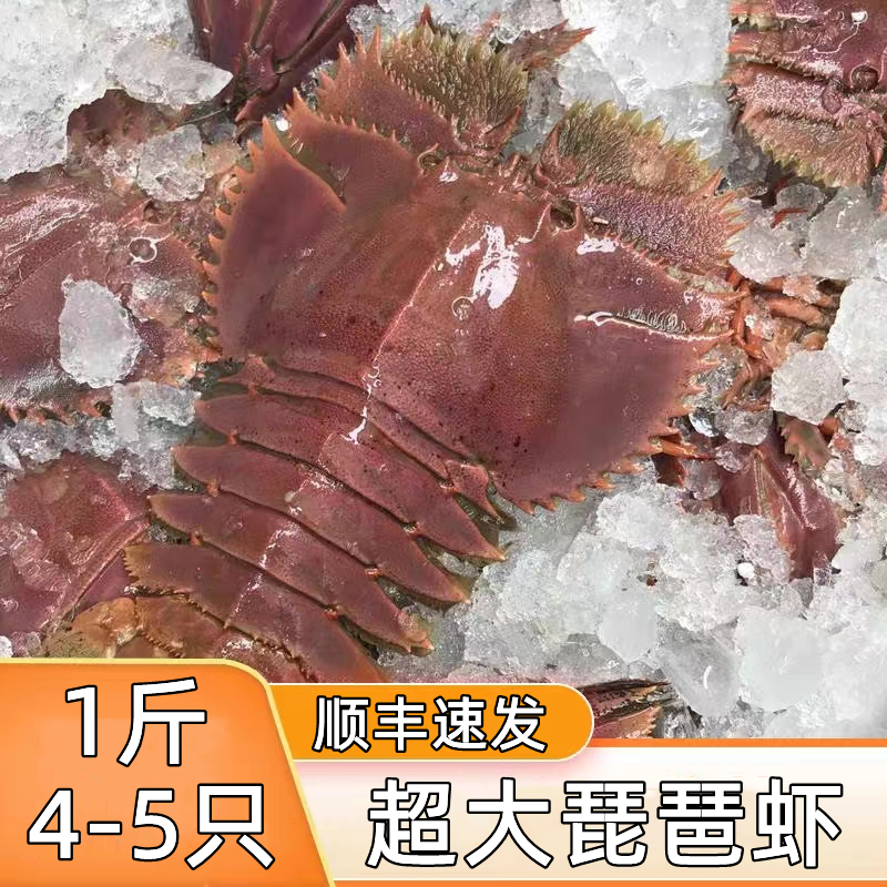 琵琶虾鲜活冷冻超大九齿扇虾新鲜速冻皮皮虾特大龙虾海鲜水产4斤