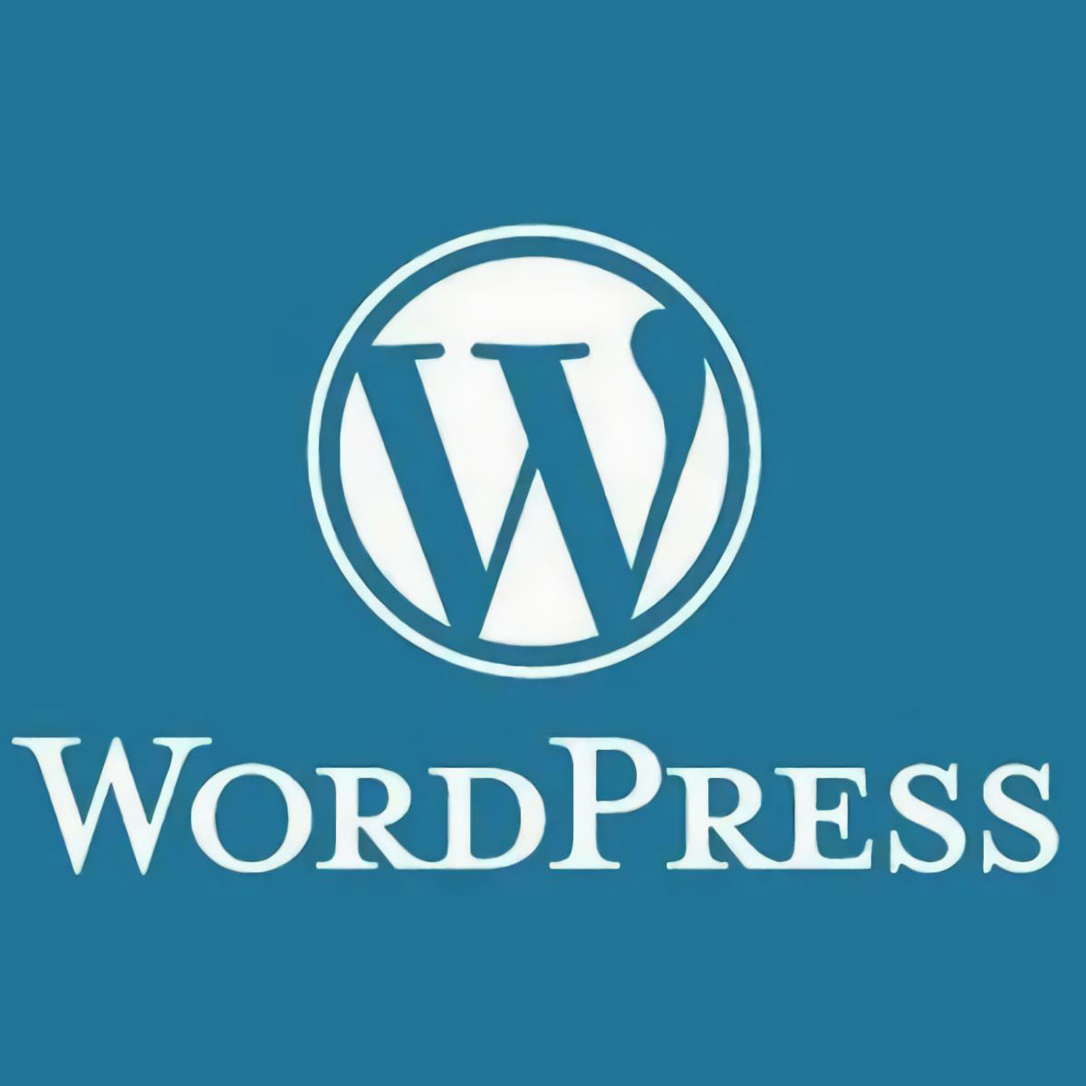 WordPress服务器域名配置整站导入建站服务看详情