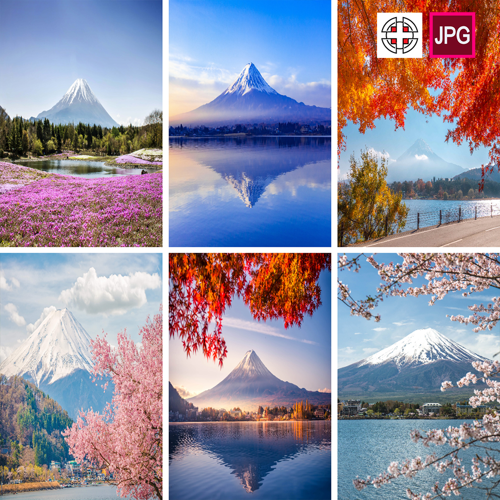 竖屏日本富士山脉樱花圣地湖泊风景摄影高清背景图片设计素材