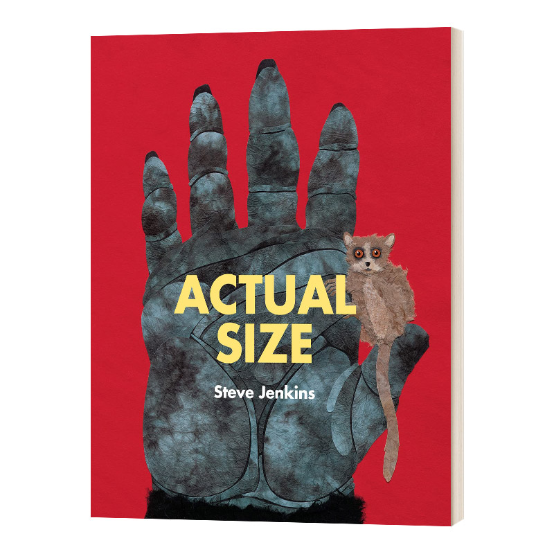 猩猩的手有这么大 Actual Size 动物的实际大小 凯迪克大奖作者 史蒂夫·詹金斯 英文原版儿童科普百科 进口英语书籍