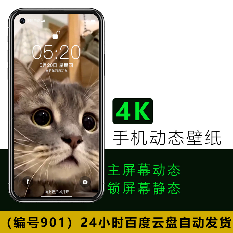 手机动态壁纸 创意可爱猫咪动物 4K高清视频动态手机壁纸