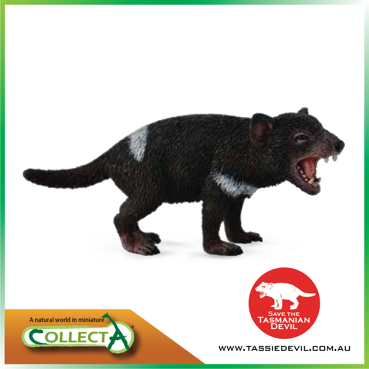 模赞 CollectA我你他野生动物玩具模型塔斯马尼亚恶魔 袋獾88656