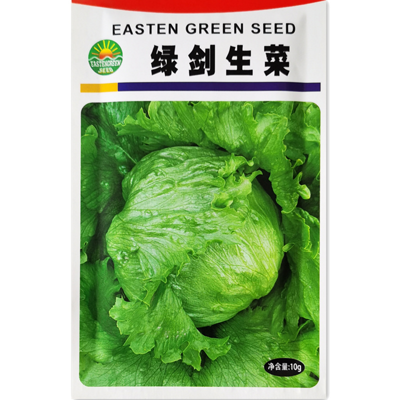 绿剑生菜种子春秋早熟抗热耐抽苔结球生菜种籽细脆深绿色高产种孑