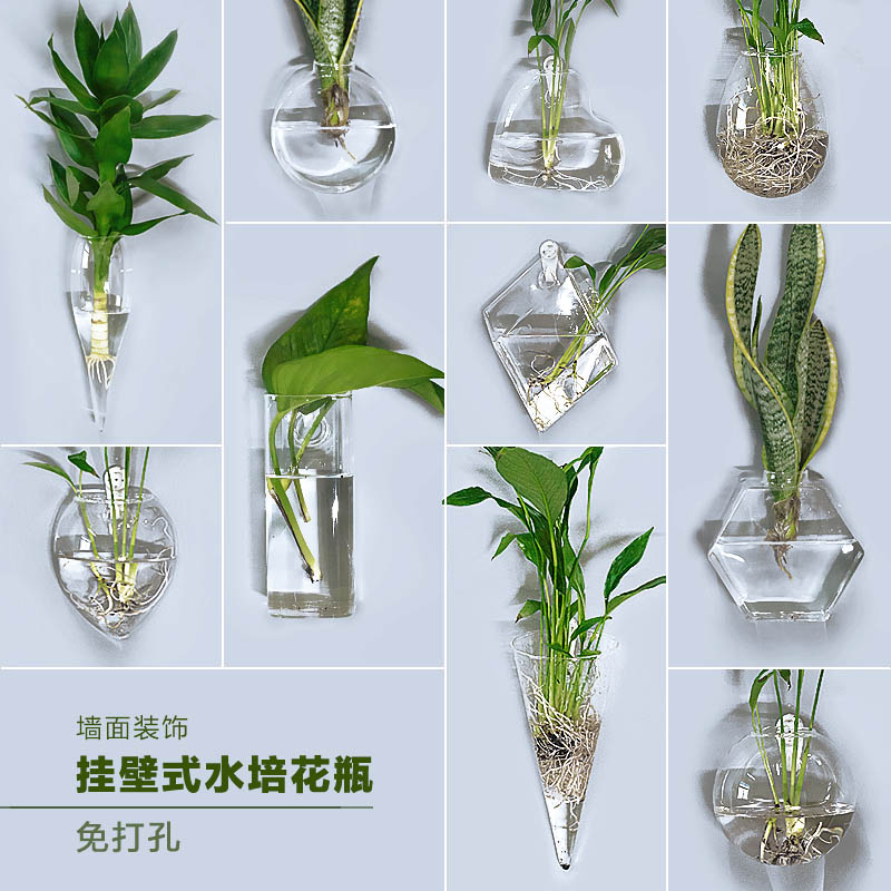 挂壁挂水培绿萝花瓶墙上水养植物玻璃瓶器皿挂墙创意透明花盆装饰