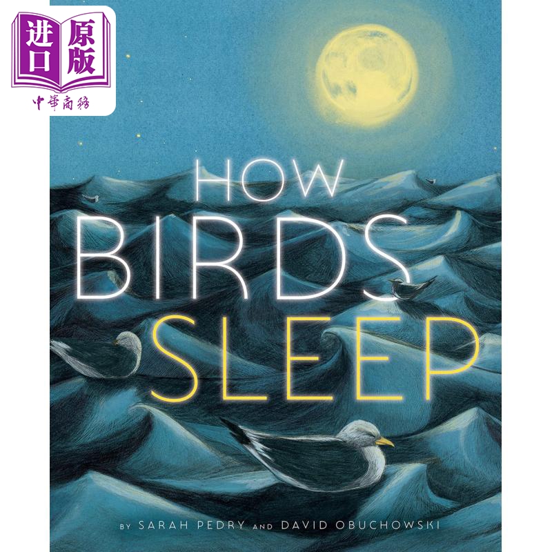 现货 Sarah Pedry How Birds Sleep 鸟儿的睡姿 英文原版 进口图书 儿童绘本 动物故事图画书【中商原版】