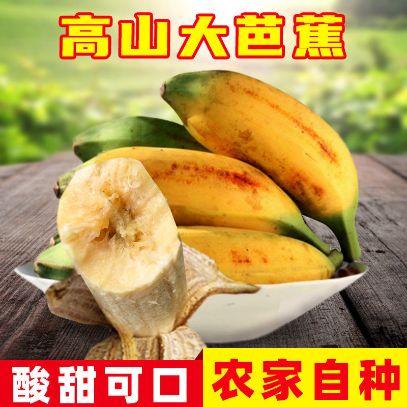 广西芭蕉牛蕉大蕉大芭蕉牛角蕉净重3/5/9斤新鲜香蕉水果酸甜香蕉