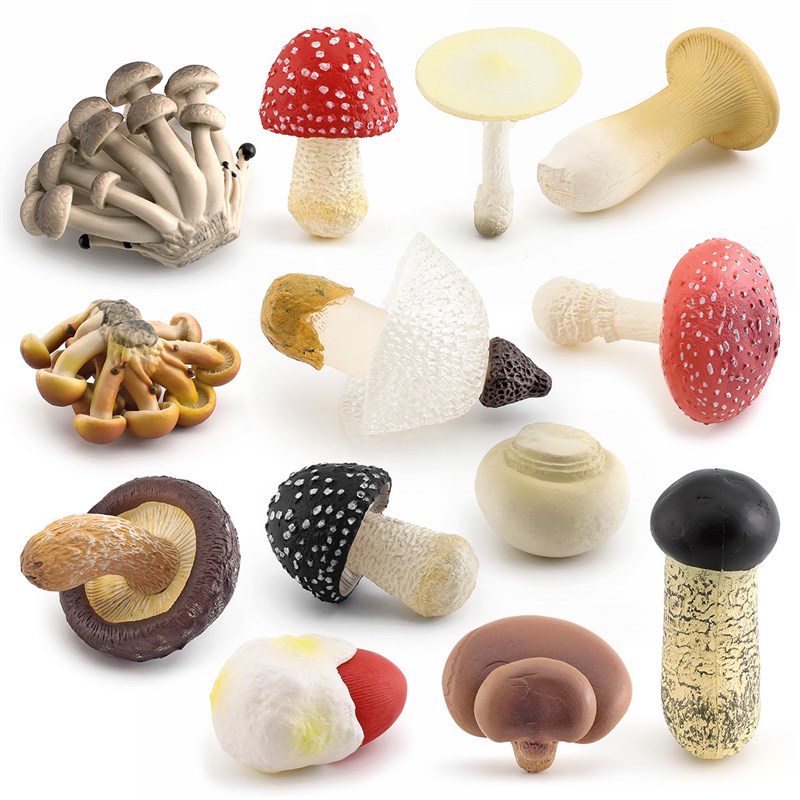 跨境仿真真菌蘑菇模型香菇白毒鹅膏菌真姬菇松茸双鲍菇毒绳伞摆件