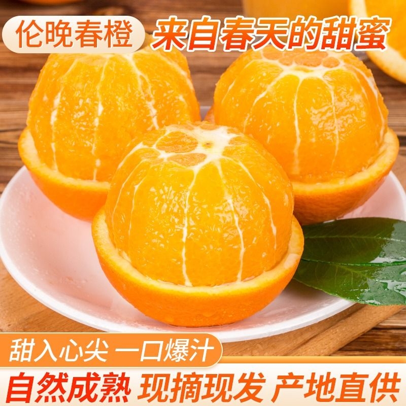 伦晚脐橙9斤峡江香橙橙子新鲜手剥橙整箱甜橙水果包邮发大果现摘