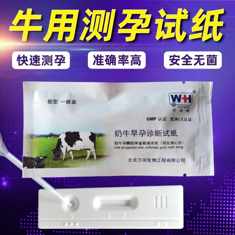 场母牛早孕测试纸孕测试盒牛用BUG怀孕检测试剂盒测牛设备羊用试
