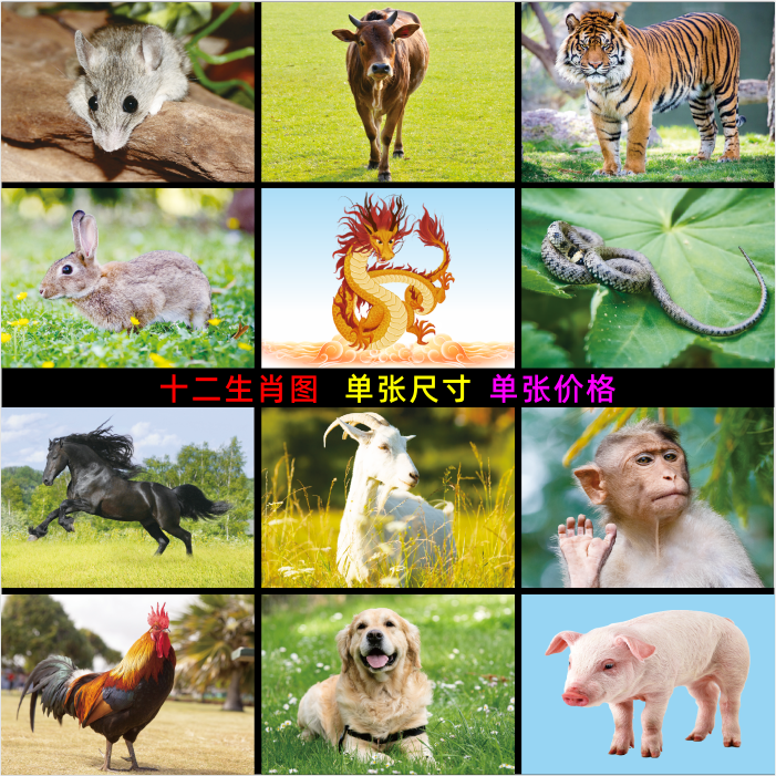 中国吉祥动物