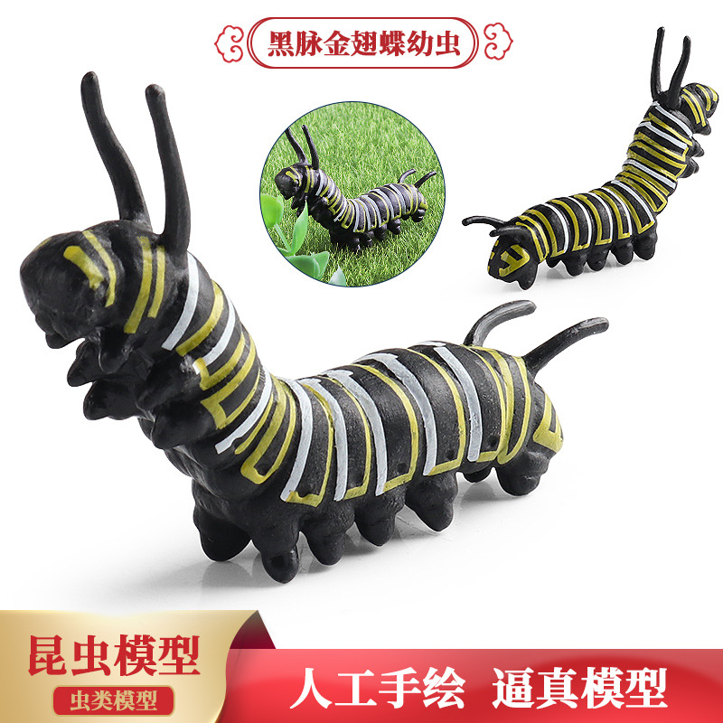 跨境仿真实心动物昆虫模型儿童玩具黑脉金斑蝶幼虫毛毛虫蝴蝶摆件