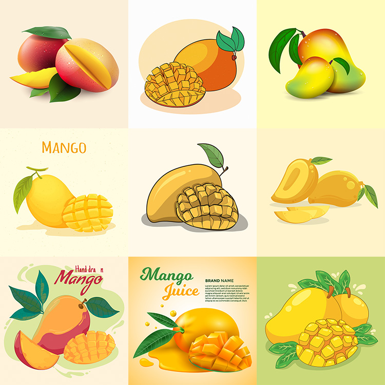 芒果插画卡通手绘逼真热带水果黄金芒海报背景AI格式矢量设计素材