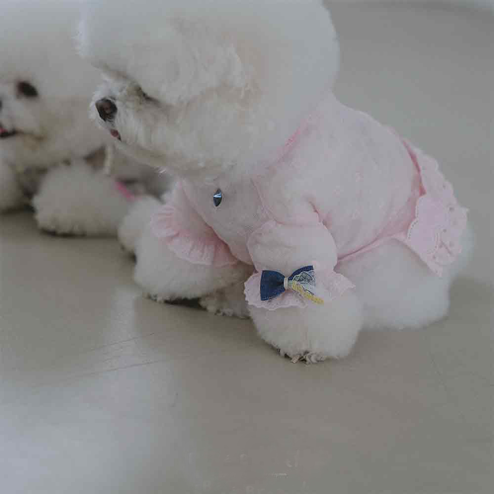 「Lazy Pet」韩国代购宠物猫狗复古可爱漂亮网纱蕾丝透视T恤上衣
