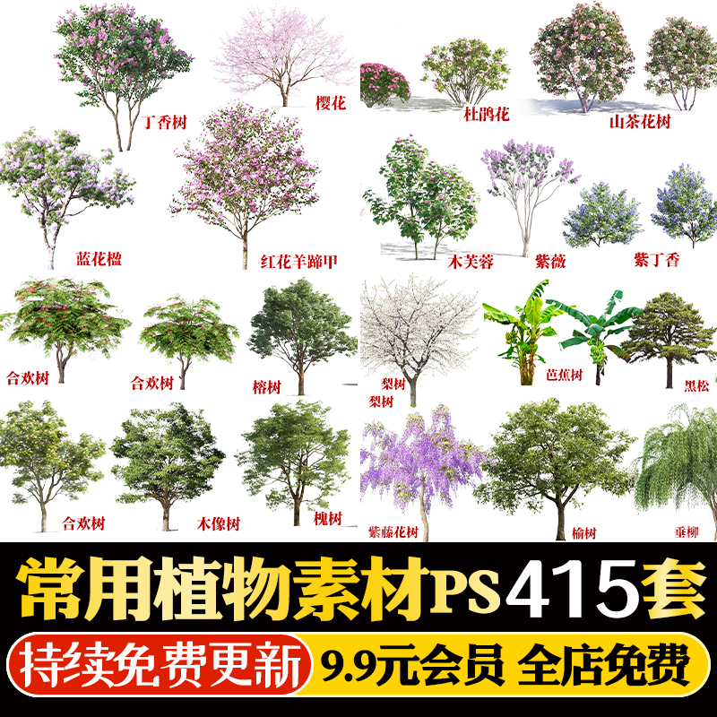 高清PS常用园林景观植物乔灌木立面树效果图后期PSD分层素材榕树