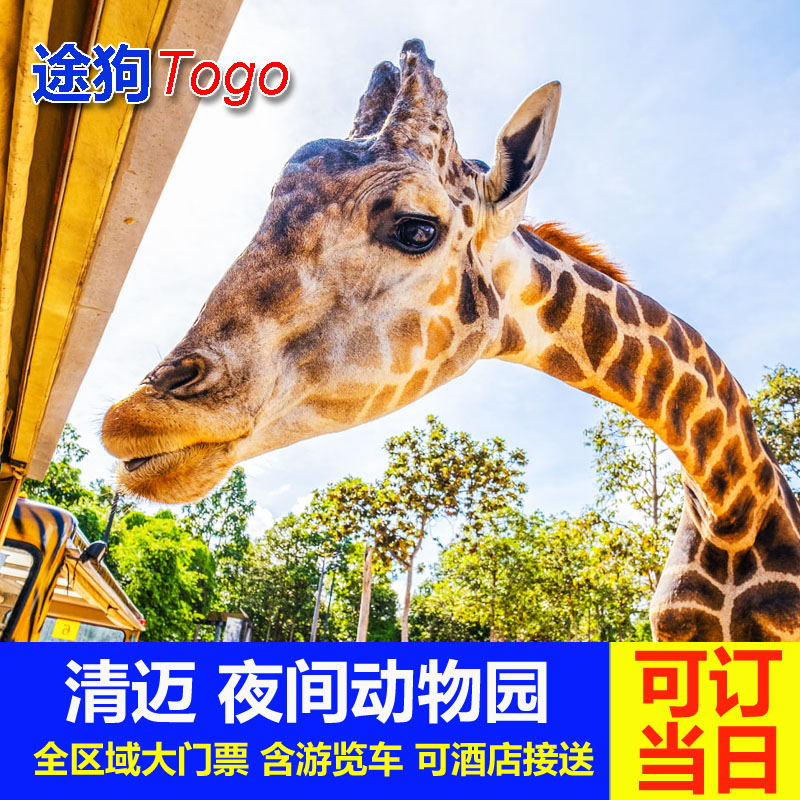 [清迈夜间动物园-大门票+接送]途狗 泰国旅游清迈夜间动物园门票 含游览车 酒店接送