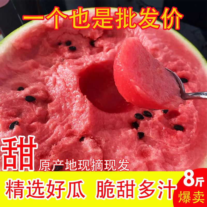 【春节不打烊】现摘8424麒麟西瓜水果新鲜当季红瓤熟瓜薄皮脆甜瓜