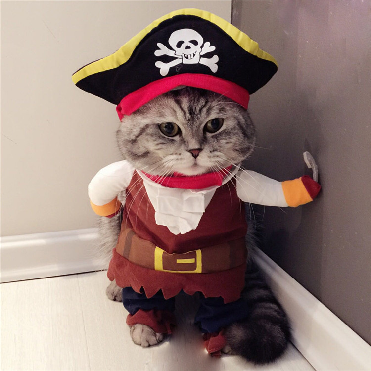 狗狗衣服宠物海盗万圣节搞怪变身装直立猫咪服饰搞笑滑稽可爱拍照