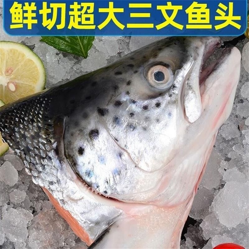 三文鱼头新鲜冷冻超大深海鱼头三文鱼边角料500g烧烤煲汤海鲜水产