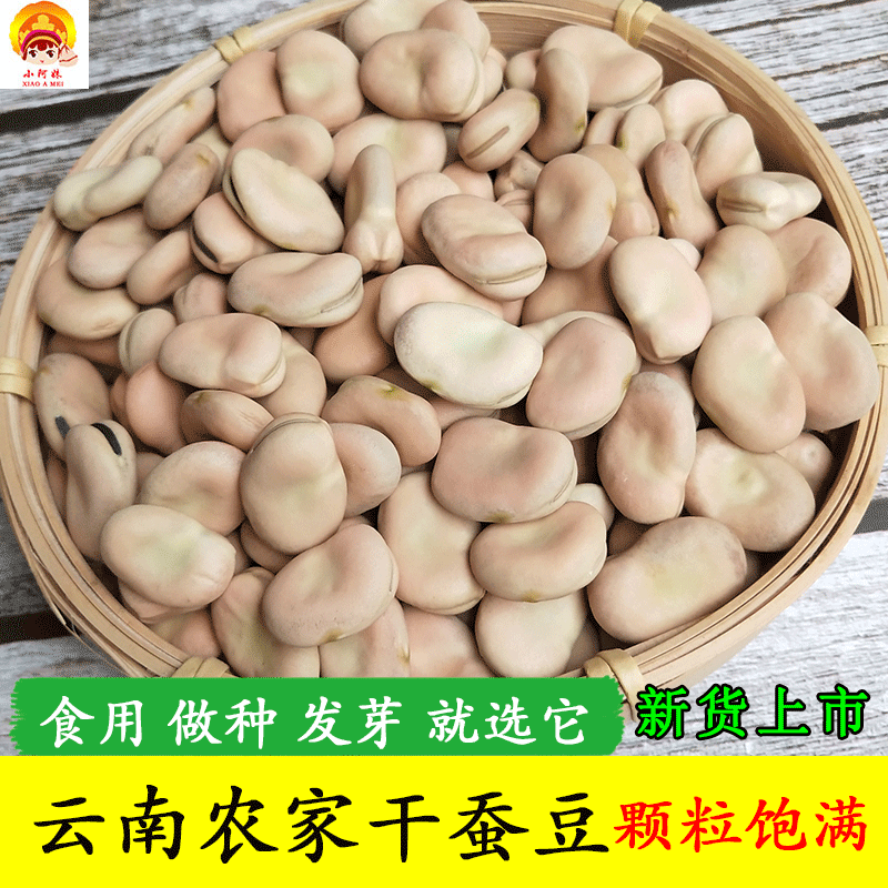 干蚕豆2023年新货农家生蚕豆种子5斤生的新鲜罗汉豆干货馋豆胡豆