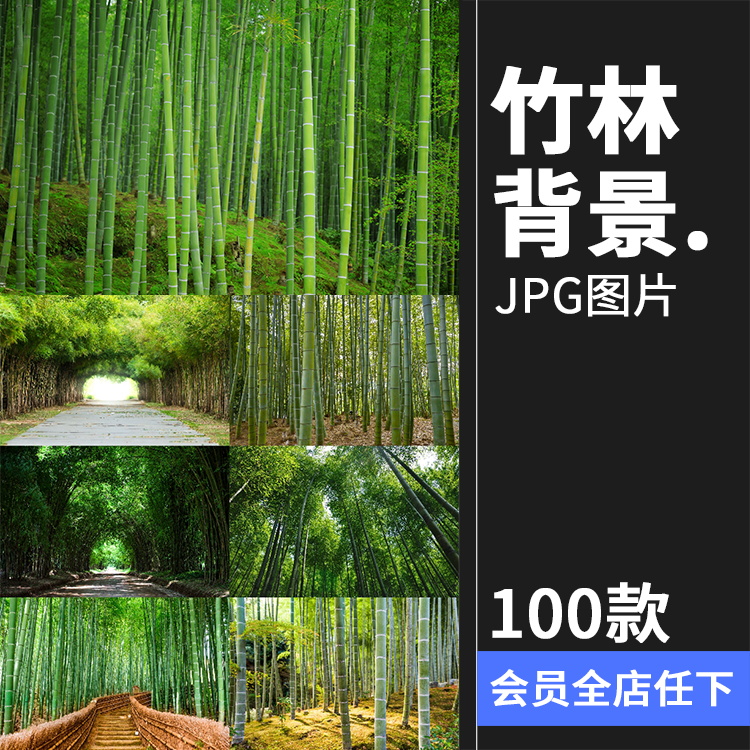 100款竹子树木绿色竹林背景自然风景场景后期合成高清JPG图片素材