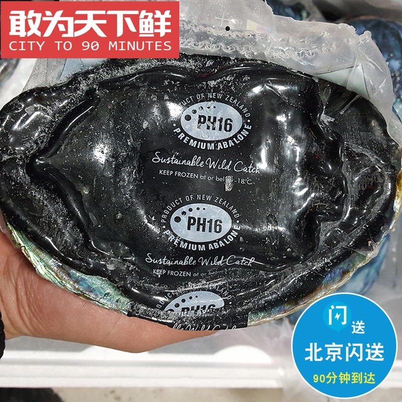 1只1斤 PH16黑金鲍 新西兰进口 新鲜活冻可刺身 深海捕捞大鲍鱼