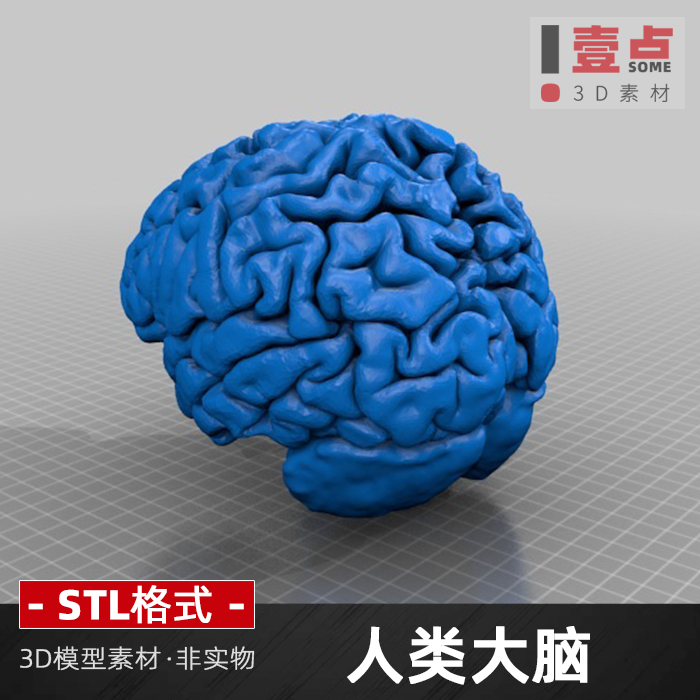 人类大脑三维立体圆雕图图纸stl文件雕刻3d打印模型设计素材