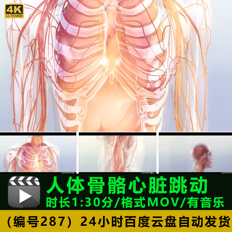 人体骨骼心脏跳动模型动画高清实拍视频素材