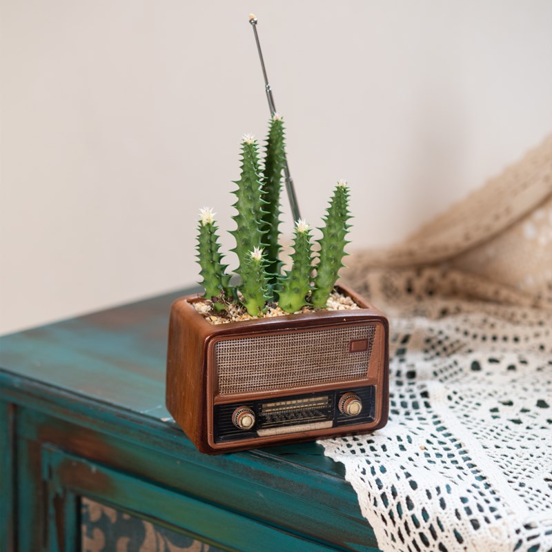多肉花盆新款复古怀旧创意收音机电视造型盆栽八十年代老物件摆件