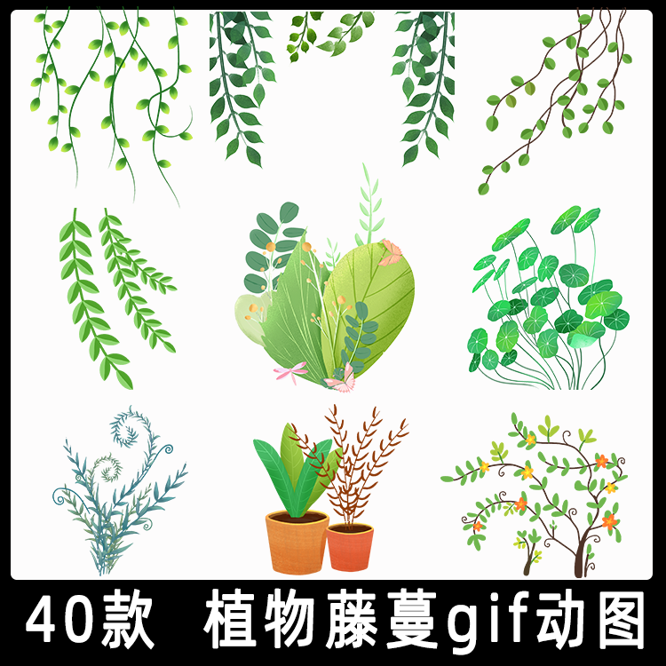 绿色植物藤曼gif动图 三叶草叶子柳树风中摇摆生长动态图片素材