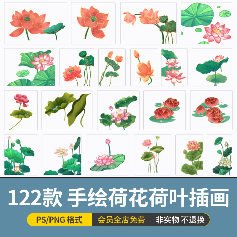 中国风手绘荷花莲花荷叶装饰画芯插画PSD海报设计素材png透明免扣