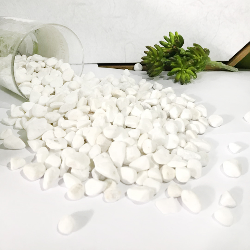 白色石头陶粒花用垫底回填养花水培铺面小石子拉菲草填充植物装饰