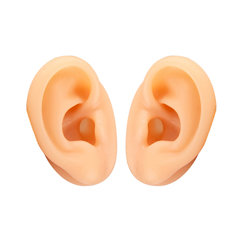 仿真硅胶耳朵模型助听器展示耳机耳钉耳穴饰品穿孔道具自家工厂