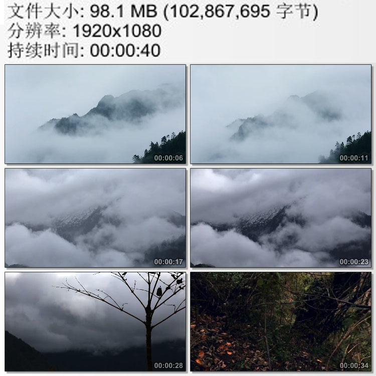 云雾渐渐淹没山峰在荒山野岭的丛林中探路前行 高清实拍视频素材