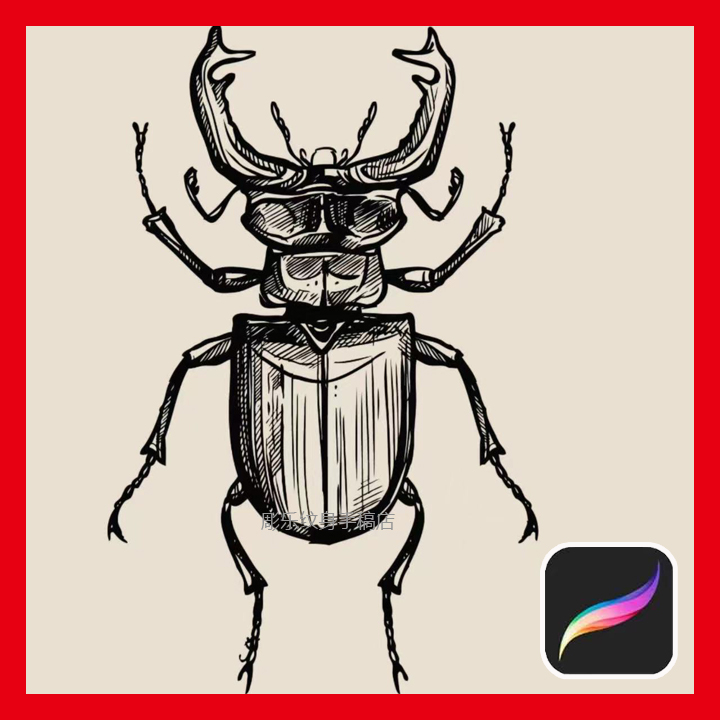 昆虫procreate笔刷蜘蛛蚂蚁蜻蜓蝴蝶蟑螂甲壳虫子纹身线稿手绘