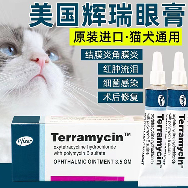 美国辉瑞眼膏猫咪宠物红肿结膜炎角膜溃疡猫猫消炎