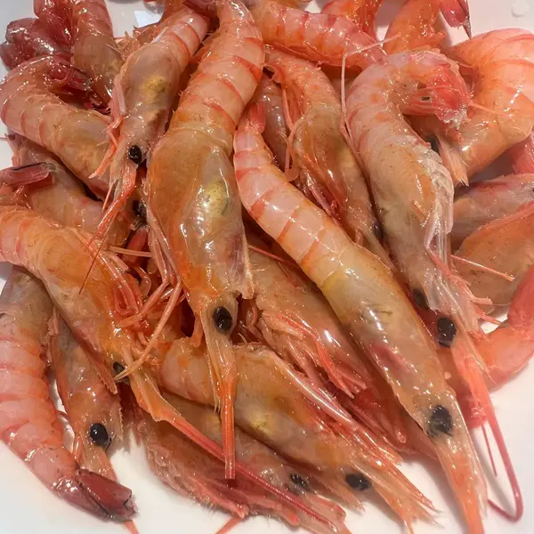 台州东海船冻虾可刺身野生红虾3斤顺丰新鲜海鲜水产商用