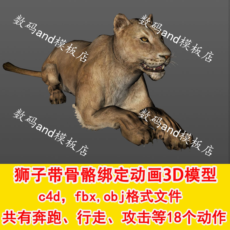 狮子3d模型骨骼绑定动画动物模型狮动画狮三维模型c4d狮模型c4d狮