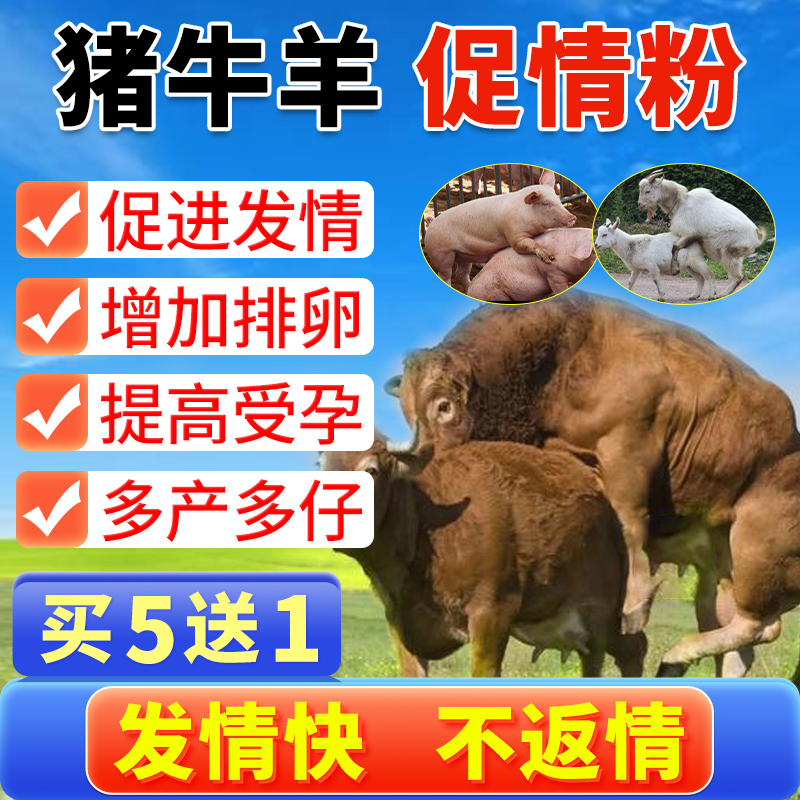 兽用母猪母牛母羊配种药不打栏发情药粉促孕散多胎排卵诱情剂助孕