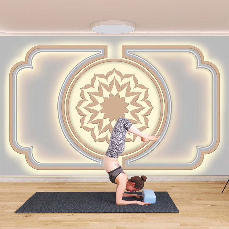 瑜伽舞蹈室墙纸普拉提健身运动直播间背景墙布创意时尚形态壁纸
