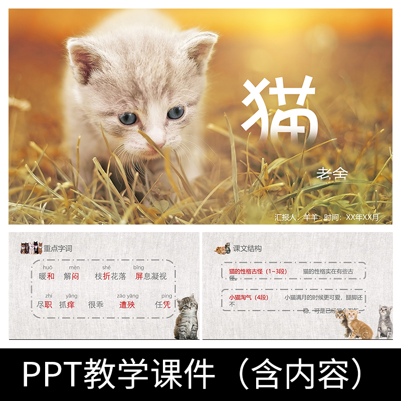 G53老舍猫散文小学初中语文教案备课赏析公开课教学课件PPT模板
