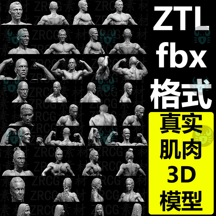 11个真实女性男性人体肌肉3D扫描FBX ZTL模型muscleanatomy pose
