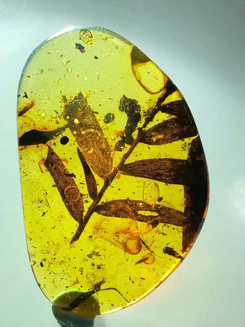 素缘缅甸天然虫珀吊坠1121琥珀带蜜蜂植物杉树叶子标本化石原石
